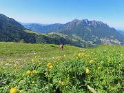 10 Compaiono i primi Trollius europaeus (Botton d'oro)